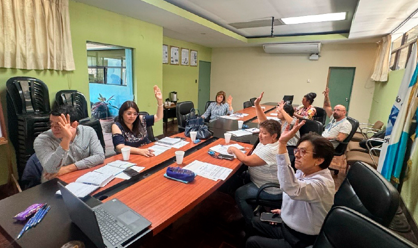 Reuniones Extraordinarias 02 y 03 de la CONASIDA: Avances Cruciales en la Aprobación del Plan de Trabajo 2025