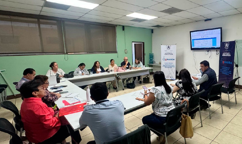 Reunión Extraordinaria de la CONASIDA: Aprobación del Plan de Trabajo